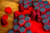 Heroscape: The Lava Fields of Valhalla Terrain Expansion