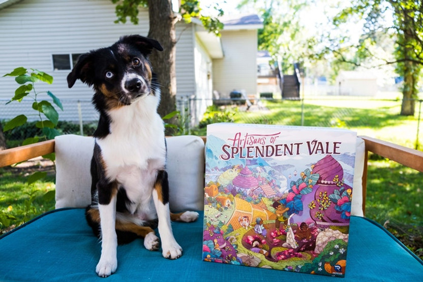 Take a Look Back to 2020 and 2021 with Renegade! 