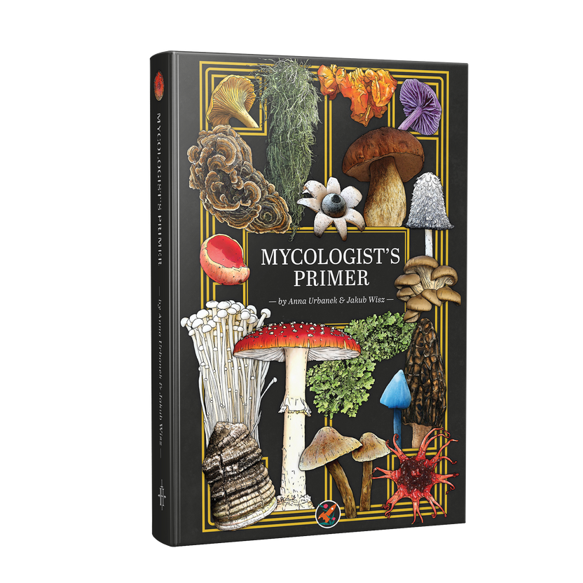 Mushrooms, Lichens, & Slime Molds (Oh My!) Mycologist's Primer & Flash Cards Release April 2026!