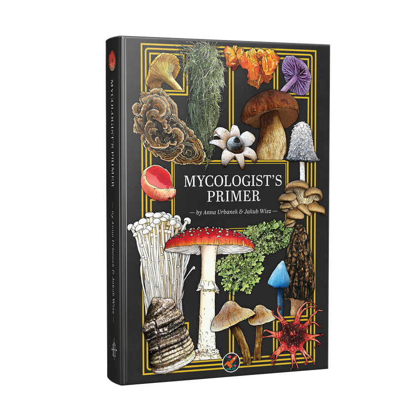 Mushrooms, Lichens, & Slime Molds (Oh My!) Mycologist's Primer & Flash Cards Release April 2026!