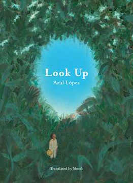 Look Up (Hardcover, 2025)