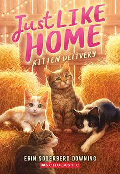 Kitten Delivery (Just Like Home, Book Two) (Paperback, 2026)