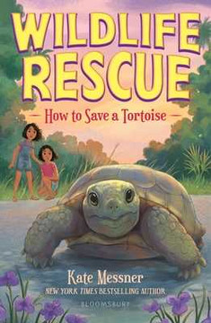 How to Save a Tortoise (Paperback, 2026)