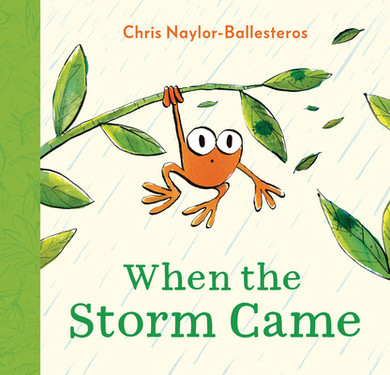 When the Storm Came (Hardcover, 2026)
