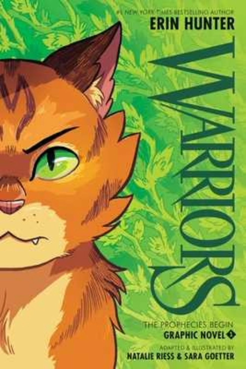 Warriors Graphic Novel: The Prophecies Begin #1 (Paperback, 2024