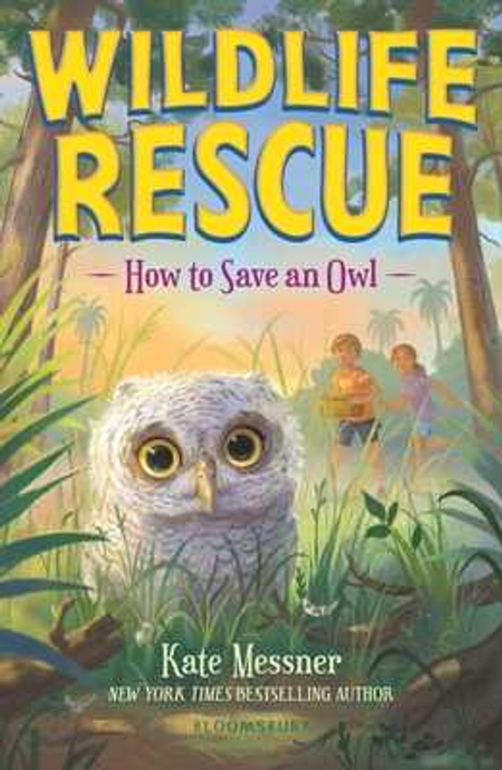 How to Save an Owl (Paperback, 2025)