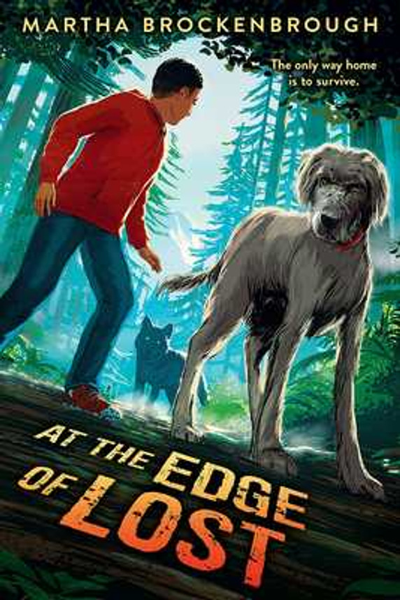 At the Edge of Lost (Hardcover, 2025) At the Edge of Lost (Hardcover, 2025)