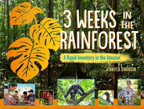 3 Weeks in the Rainforest: A Rapid Inventory in the Amazon (Hardcover, 2025)