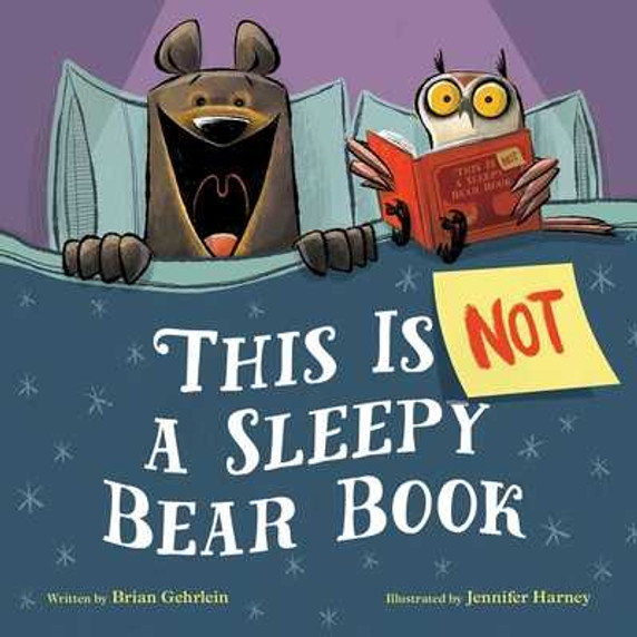 This Is Not a Sleepy Bear Book (Hardcover, 2025)