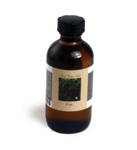 Tea Tree Oil - 4 oz.