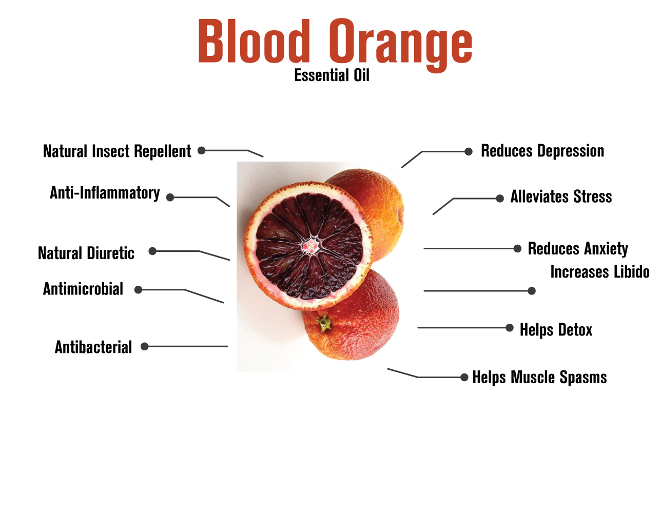 092517 Blood orange infographic