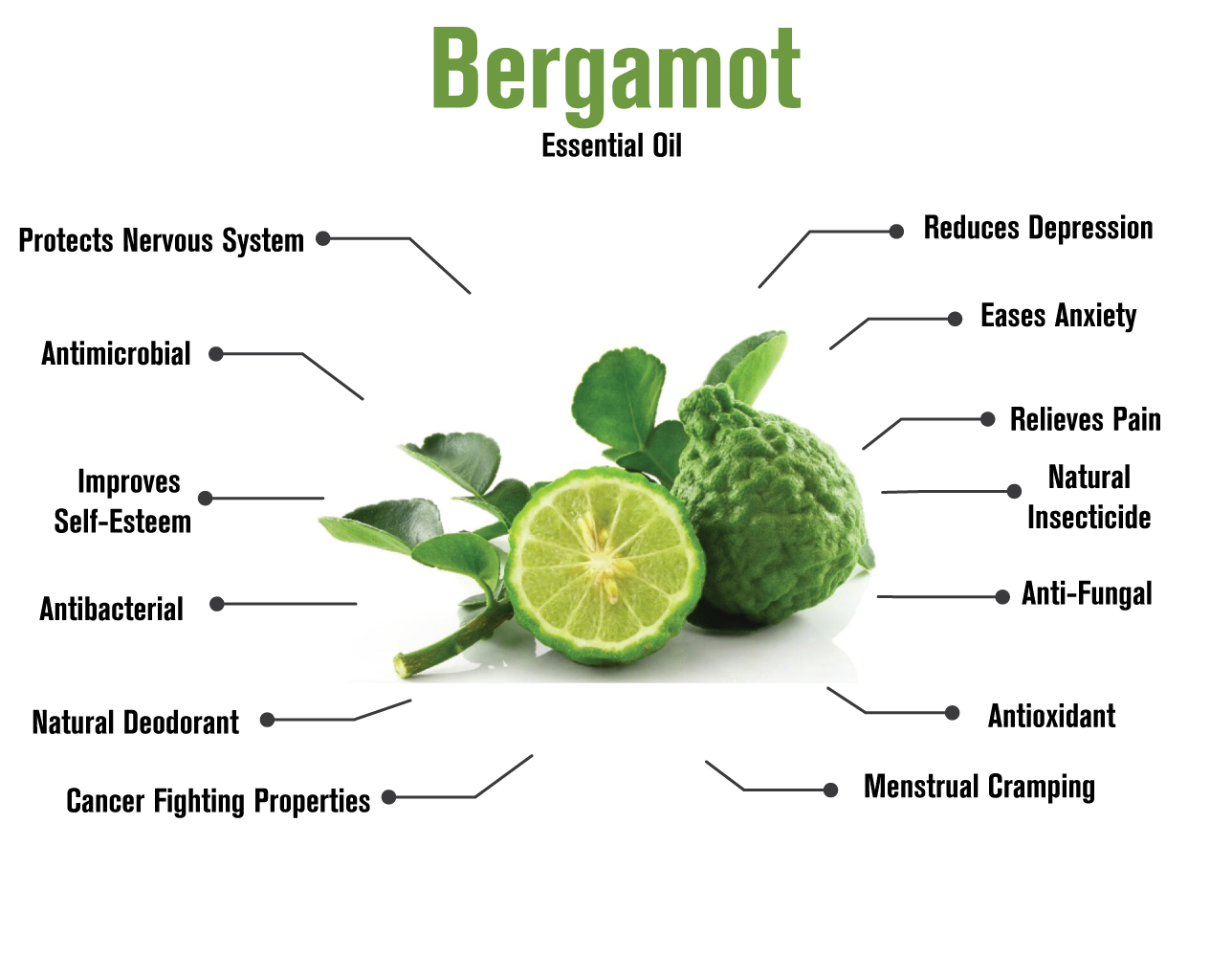 092517 bergamot infographic