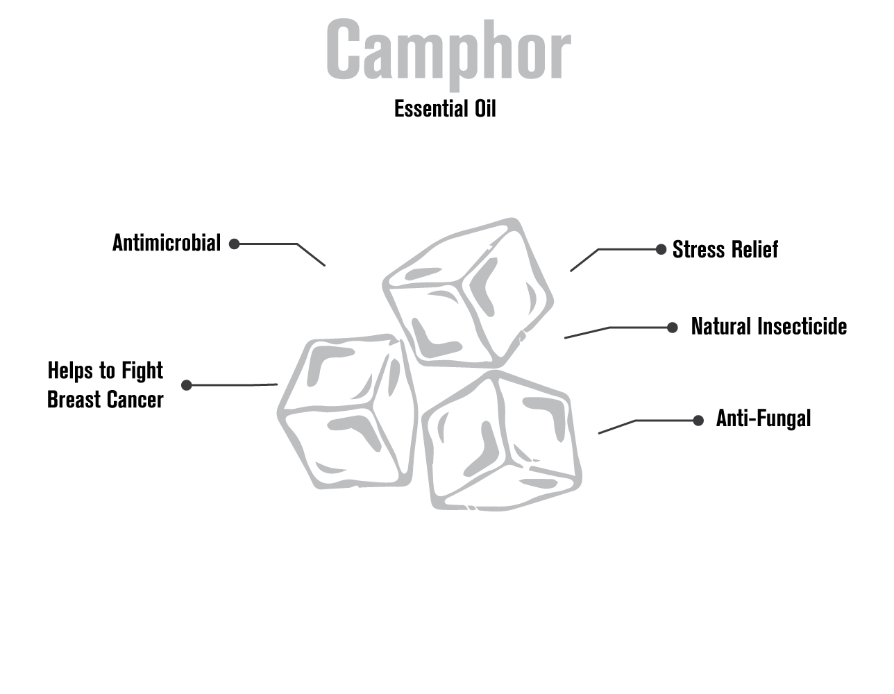 100517 camphor infographic