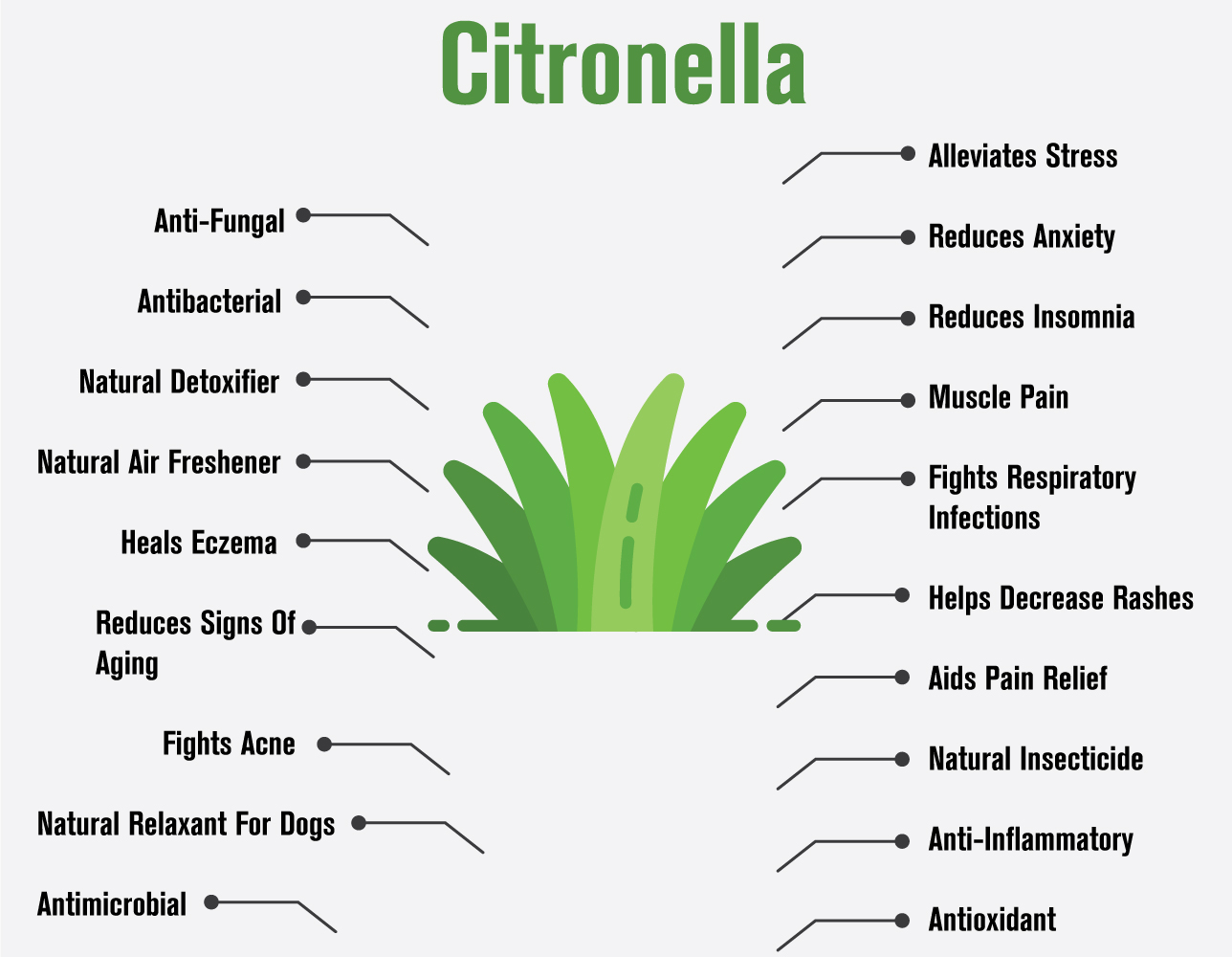 100917 citronella infographic