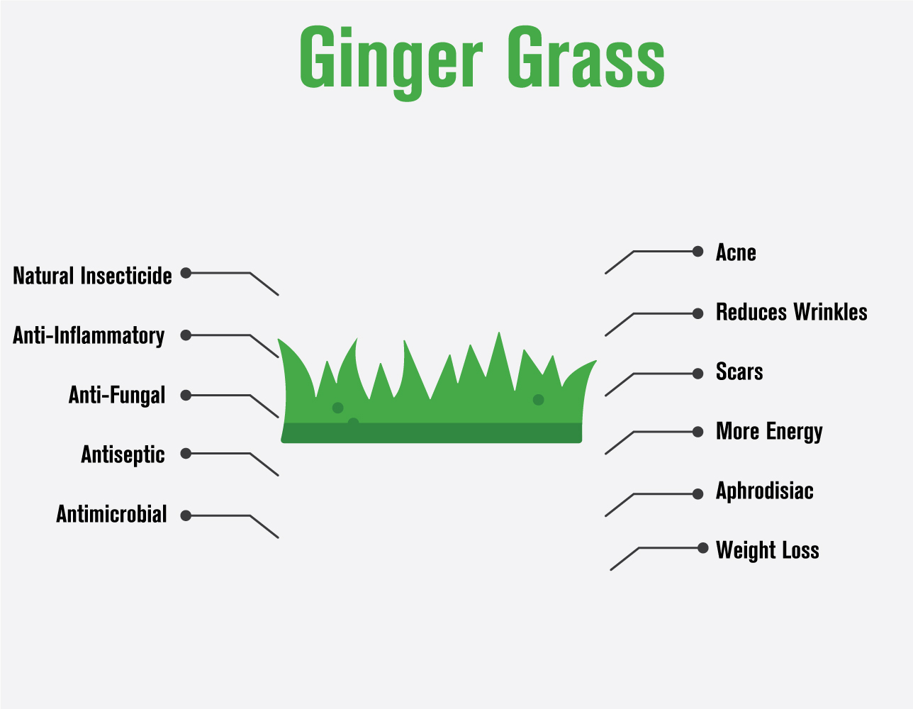 100917 gingergrass infographic