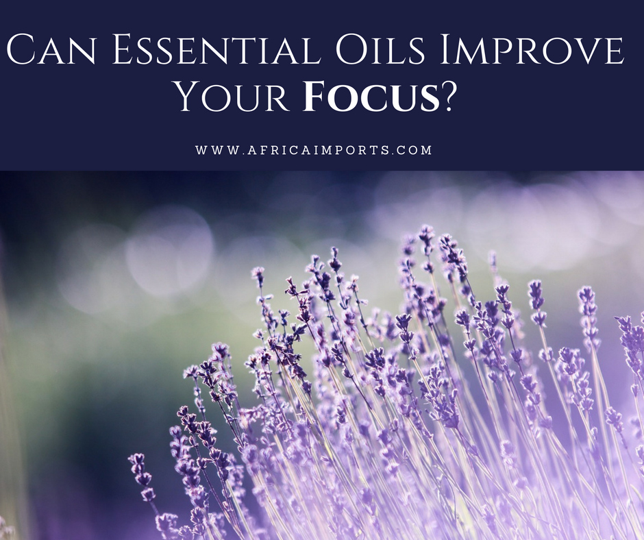 Can Essential Oils Improve Your Focus-