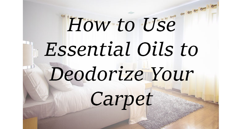 How to use essential oils to deodorize your carpet