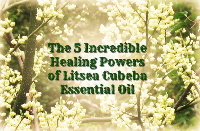 litsea-cubeba-benefits