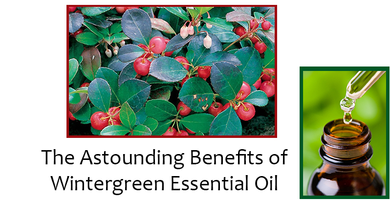 The Astounding Benefits of Wintergreen Essential Oil