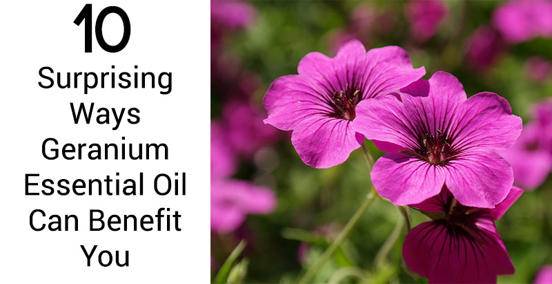 10 Surprising Ways Geranium Essential Oil Can Benefit You