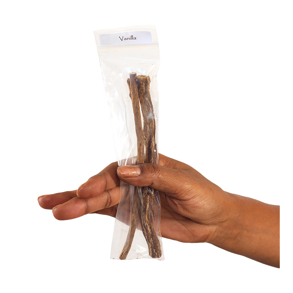Chew Sticks Sampler Set - Dental Care | Africa Imports