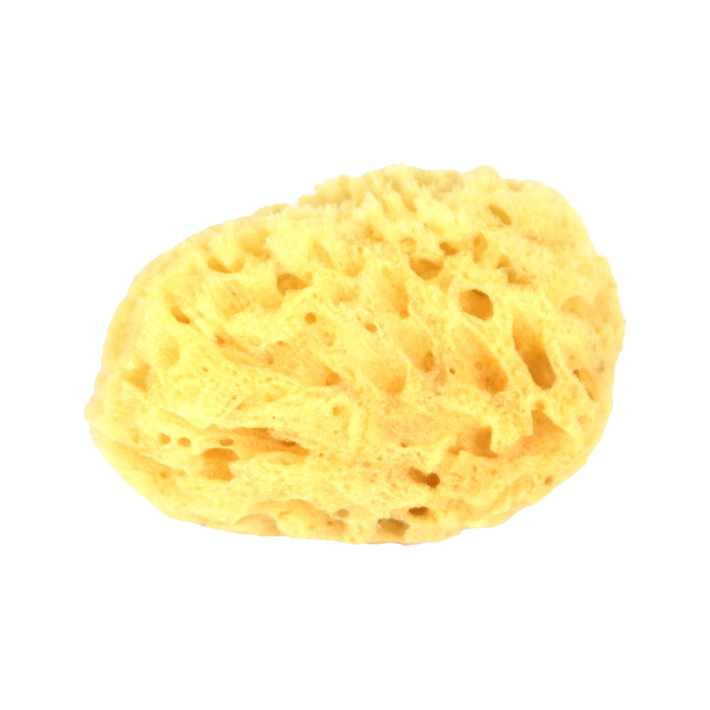 Dead Sea Natural Sponge Beauty Accessories