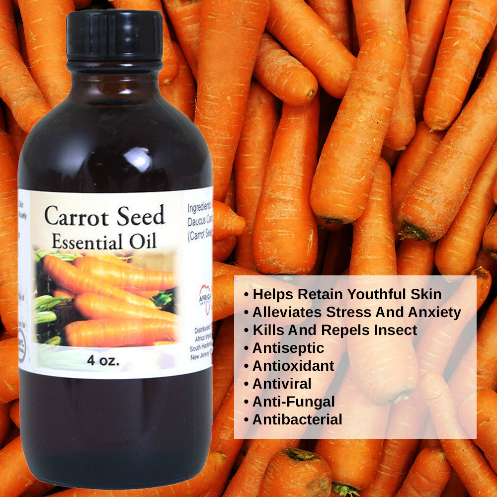 Carrot Seed Essential Oil 1 oz. Essential Oils African Beauty