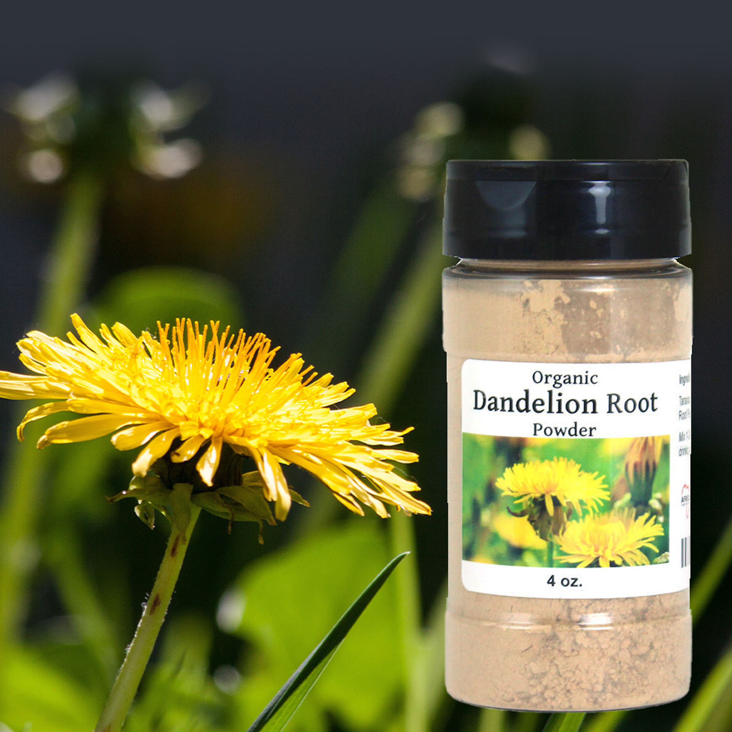 Organic Dandelion Root Powder 4 oz. Herbal Remedies & Edibles