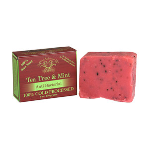 Tea Tree & Mint Anti Bacterial Soap - 6 oz.