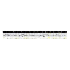 Set Of 24 New Arrival Fragrance Oil Samples – Monthly Perfume Oil Collection (Dram 1/8 oz) – AUGUST 2026