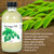 Moringa Oil - 1 Lb.