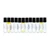 12 Pr@da Fragrance Oil Samples – Luxury Perfume Oil Collection - ⅓ oz (10 ml)