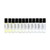 12 Versace Fragrance Oil Samples – Luxury Perfume Oil Collection - ⅓ oz (10 ml)