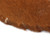 Authentic Kenyan Hide Shield - Brown/White - Small