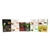 Set Of 10 Shea Olein Soaps