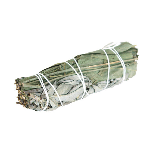 White Sage & Eucalyptus Smudge Stick