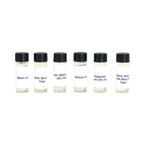 New Edition Fragrance Oil Samples (March 2024)