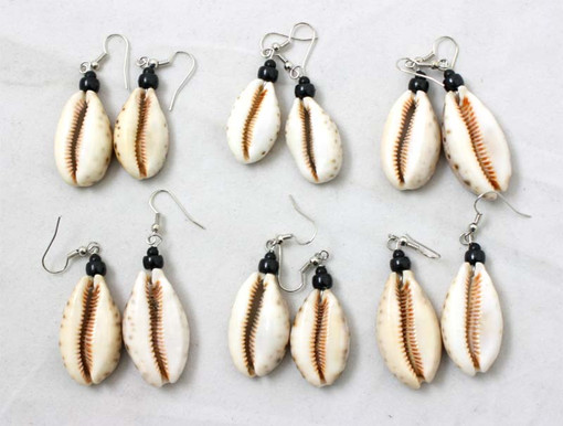 Set Of 6 Large Tiger Shell Earrings