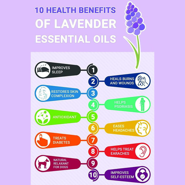 lavender-top-10-benefits