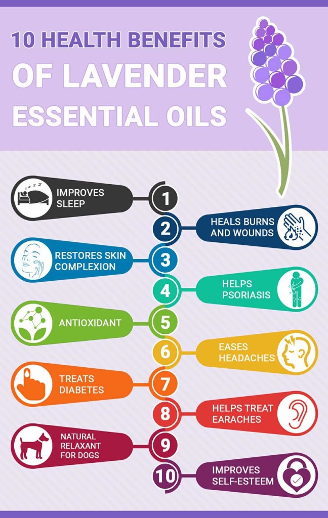 10 Health Benefits of Lavender Essential Oil Africa Imports