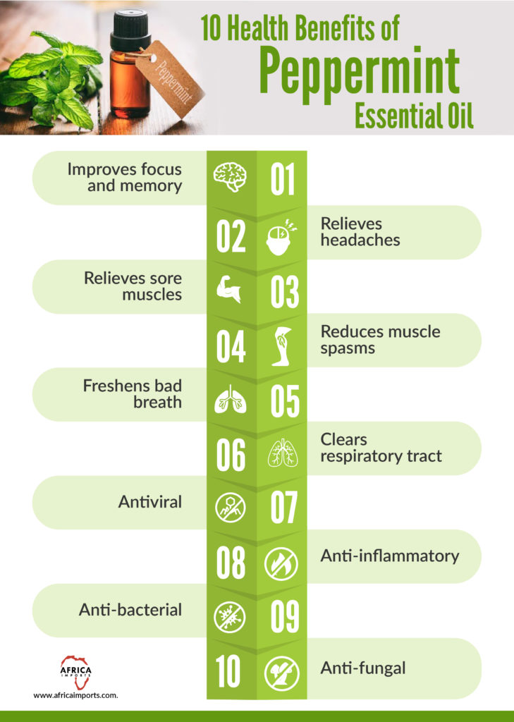 10 Health Benefits Of Peppermint Essential Oil Africa Imports 0537