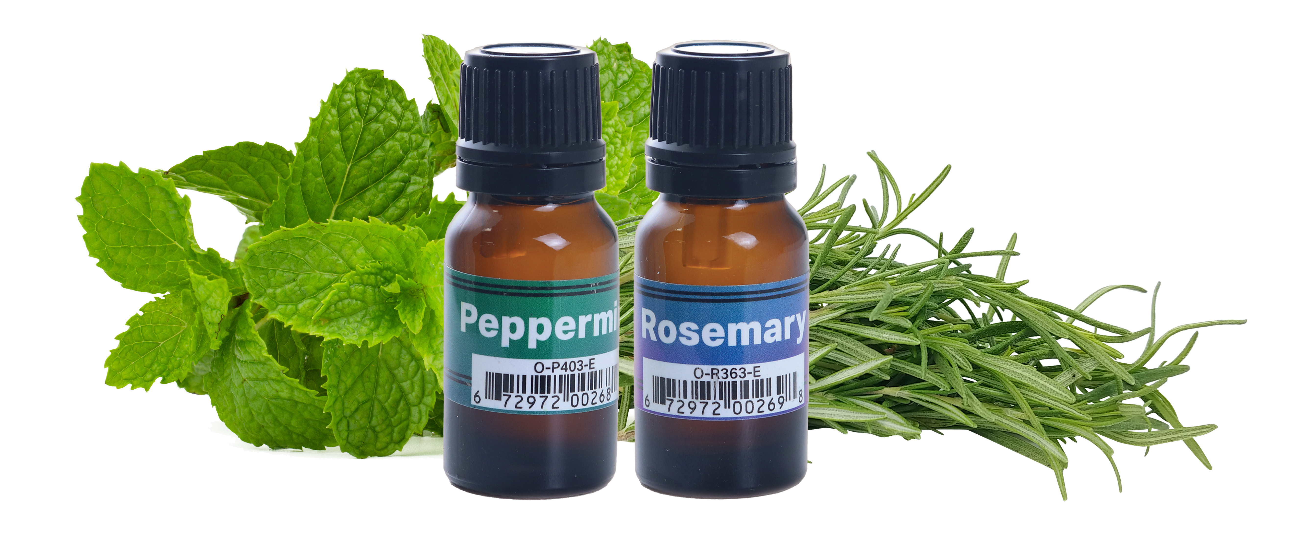 rosemary-mint.jpg