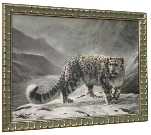 Charles Frace "Snow Leopard" Canvas Framed