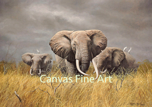 Charles Frace "Power of the Serengeti" Elephants Canvas Edition Signed & Numbered