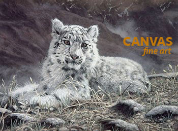 Charles Frace 'Baby Snow Leopard' 9x12 Art Print O/E