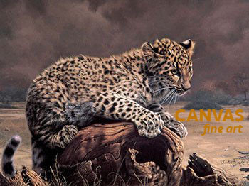Charles Frace 'African Leopard Cub' Canvas Art 9x12 O/E