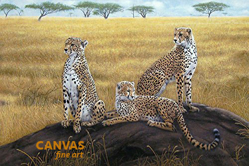 Charles Frace 'Morning Calm' Cheetah Canvas Signed & Numbered L/E