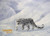 Charles Frace 'Gray Ghost' Snow Leopard Canvas Signed & Numbered L/E