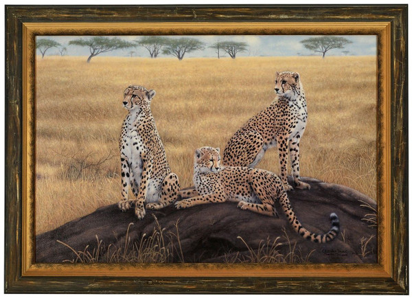 Charles Frace "Morning Calm" Cheetah Canvas Framed Signed & Numbered L/E
