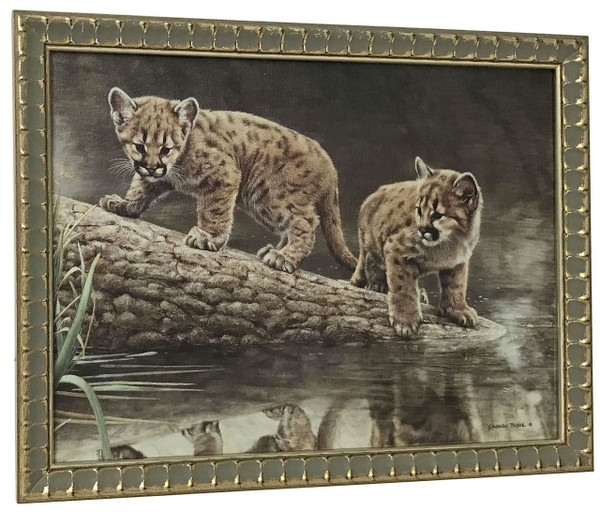 Charles Frace 'Reflections' Cougar Cubs Canvas Framed
